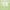 Green Tea Face Wash with Salicylic Acid