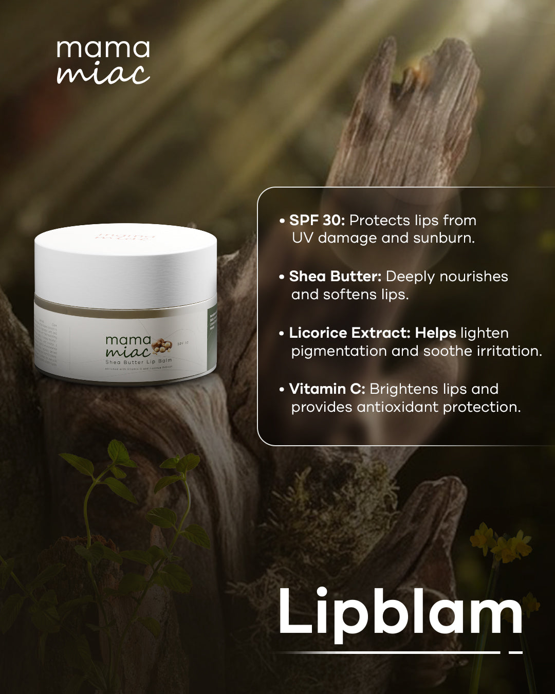 Shea Butter Brightening Lip Balm with SPF 30
